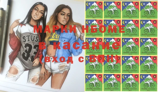 мдпв Рославль