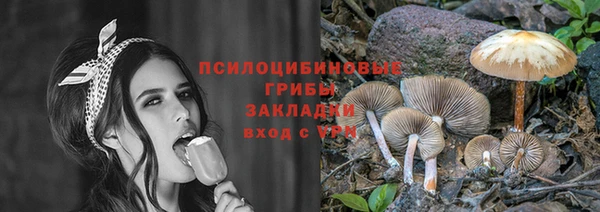 метадон Алексеевка