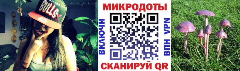 Галлюциногенные грибы Psilocybe  Кропоткин 