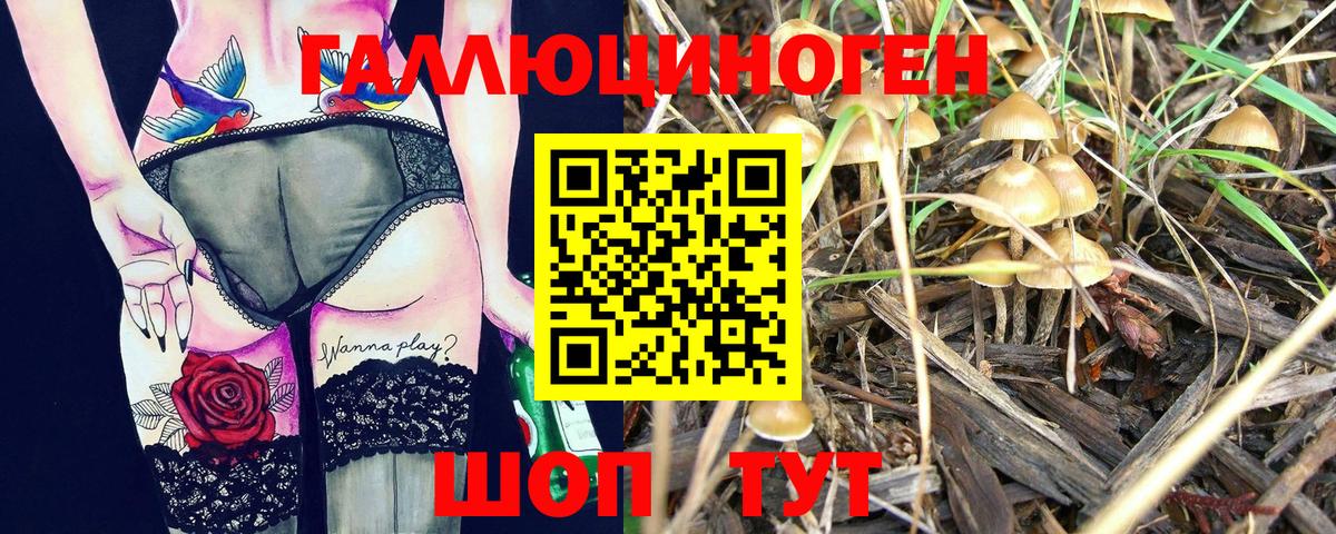Псилоцибиновые грибы GOLDEN TEACHER Кропоткин