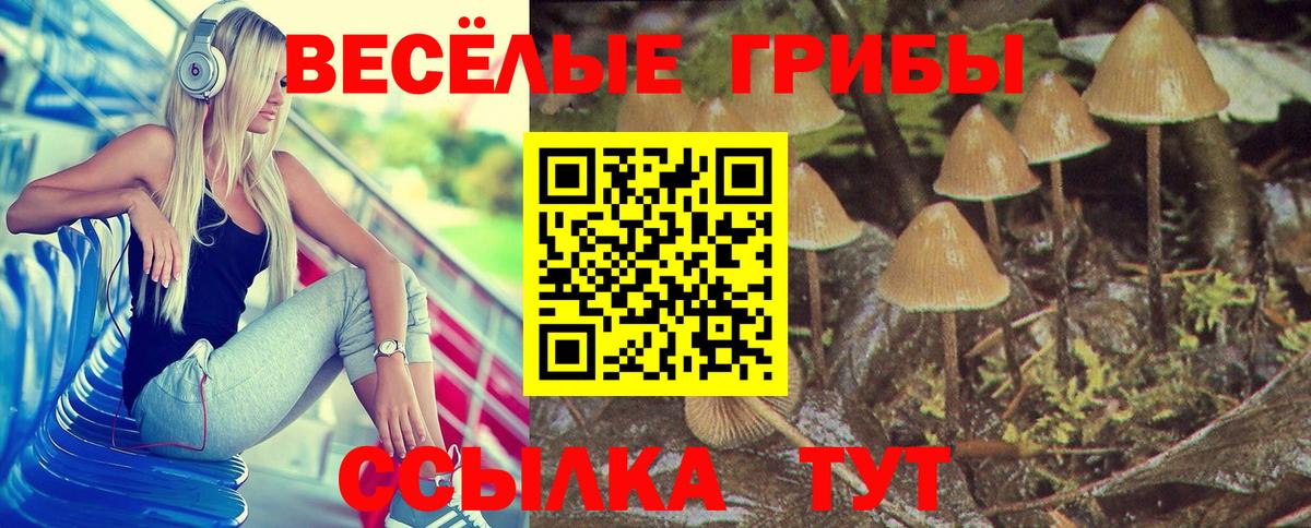 Кропоткин  Галлюциногенные грибы ЛСД  Вход с VPN 
